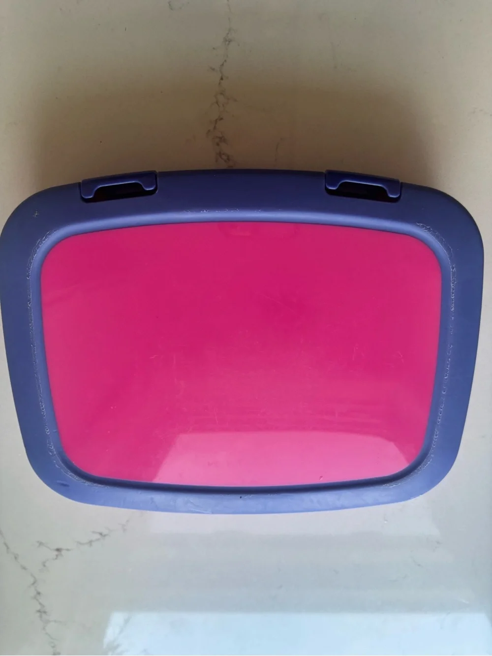 Bentgo Pink Lunchbox with Purple Trim